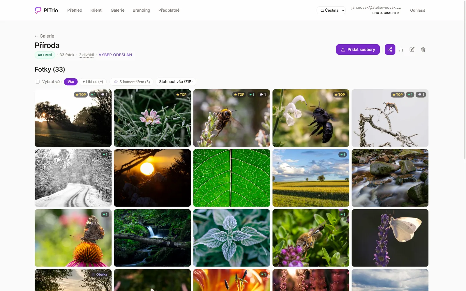 Přehled galerie pro fotografa s filtry a statistikami