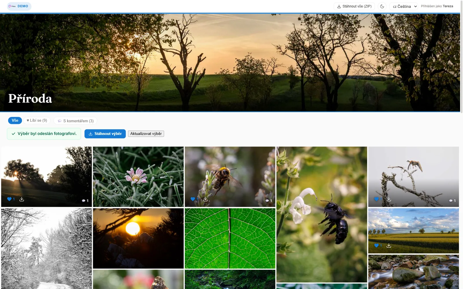 Klientská galerie se srdíčky a komentáři